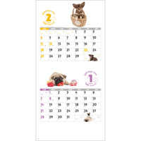 SG143 DOG・DOG・DOG　ミシン目入り【8月上旬頃より順次出荷予定】 名入れカレンダー