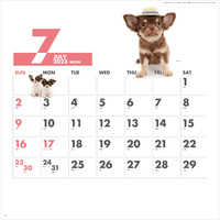SG172 DOG・DOG・DOG【7月中旬以降出荷】 名入れカレンダー