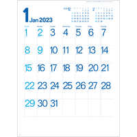SG2900 オーシャンブルー文字【通常20営業日後納品】 名入れカレンダー