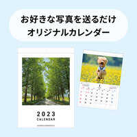 NS305 オリジナル写真カレンダー （壁掛け・1ヶ月表示タイプ）【代引不可】 名入れカレンダー