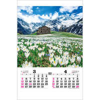 TD521 トーハン・ＤＸ世界風景フイルム【7月中旬以降出荷】 名入れカレンダー