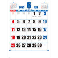 SG556 日本地図入りジャンボ文字【7月中旬以降出荷】 名入れカレンダー