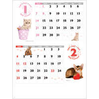 SG2280 CAT・CAT・CAT【8月上旬頃より順次出荷予定】 名入れカレンダー