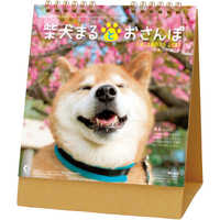NK529 卓上カレンダー柴犬まるとおさんぽ【通常30営業日後納品】 名入れカレンダー