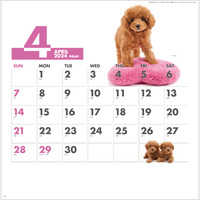 SG172 DOG・DOG・DOG【8月上旬頃より順次出荷予定】 名入れカレンダー