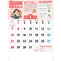 NK98 免疫力アップカレンダー【8月上旬頃より順次出荷予定】 名入れカレンダー