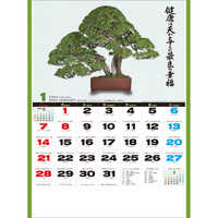 SG278 自然愛〈盆栽〉【8月上旬頃より順次出荷予定】 名入れカレンダー