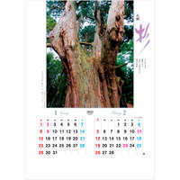 NA134 大樹【7月中旬以降出荷】 名入れカレンダー
