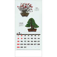 SG350 自然愛〈盆栽〉【最短4営業日後出荷】 名入れカレンダー