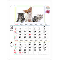 YK2054 B/8・犬と猫の散歩道 名入れカレンダー