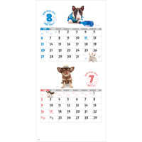 SG143 DOG・DOG・DOG　ミシン目入り【7月中旬以降出荷】 名入れカレンダー