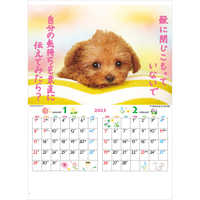 IC203 かわいい犬【通常30営業日後納品】 名入れカレンダー