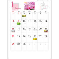 SG293 四季の花もよう【7月中旬以降出荷】 名入れカレンダー