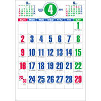SG553 カラフルジャンボ文字【7月中旬以降出荷】 名入れカレンダー