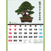 SG278 自然愛〈盆栽〉【通常20営業日後納品】 名入れカレンダー