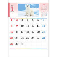 NK104 かわいい動物たち【通常30営業日後納品】 名入れカレンダー